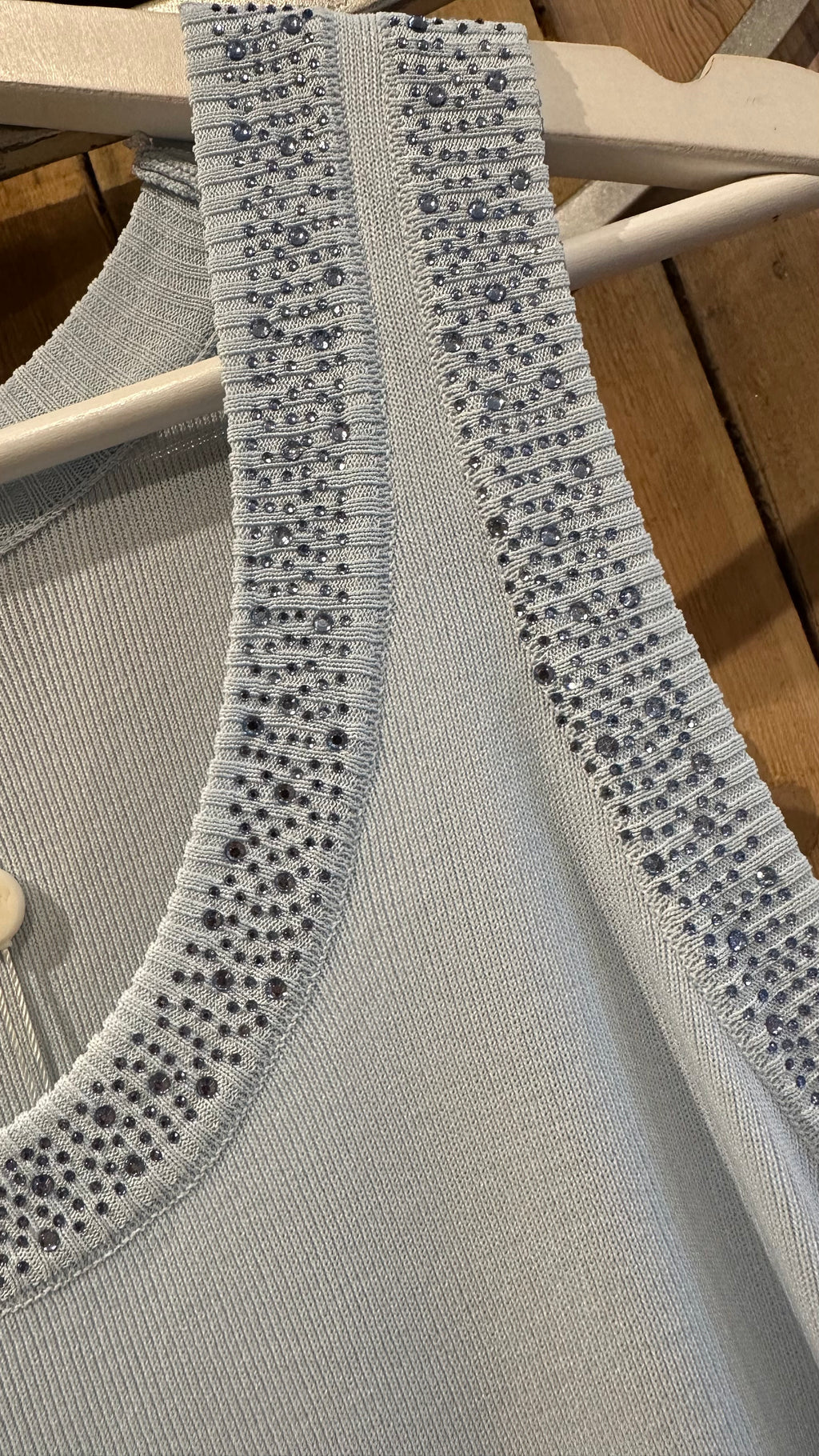 Blue Vest